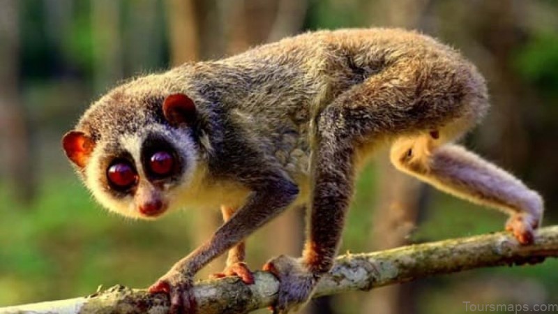 top 10 reasons to visit belize wav 6