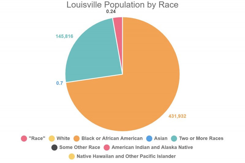louisville population by race 273716 1