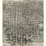 best tallahassee travel guide for tourist where to go in tallahassee