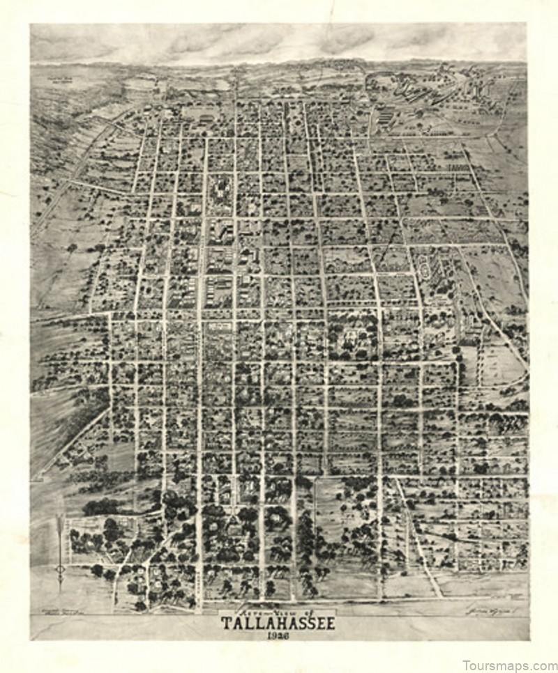 best tallahassee travel guide for tourist where to go in tallahassee