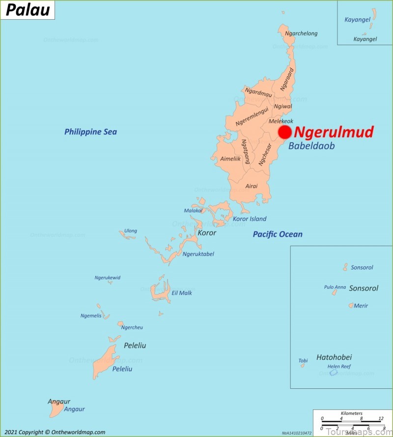 ngerulmud travel guide your guide to the best of dundee 4