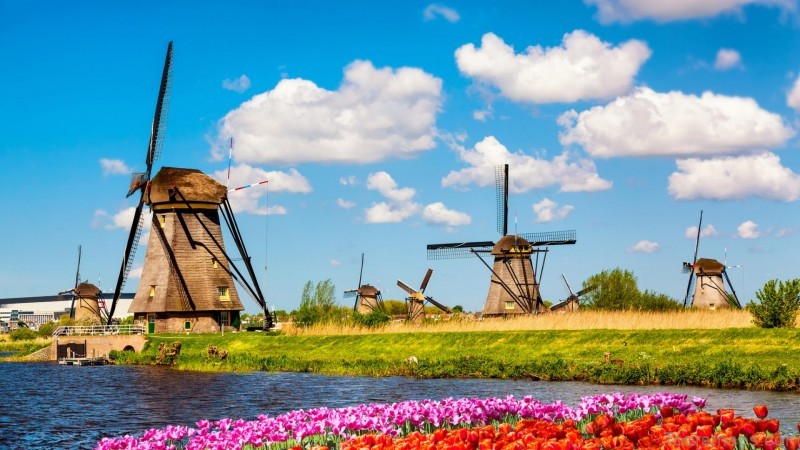 the netherlands the ultimate travel guide 10 The Netherlands: The Ultimate Travel Guide