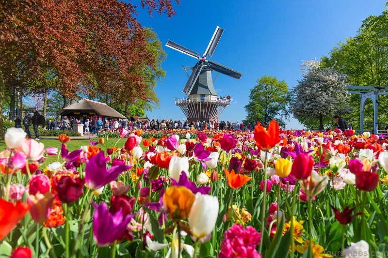 the netherlands the ultimate travel guide 6 The Netherlands: The Ultimate Travel Guide