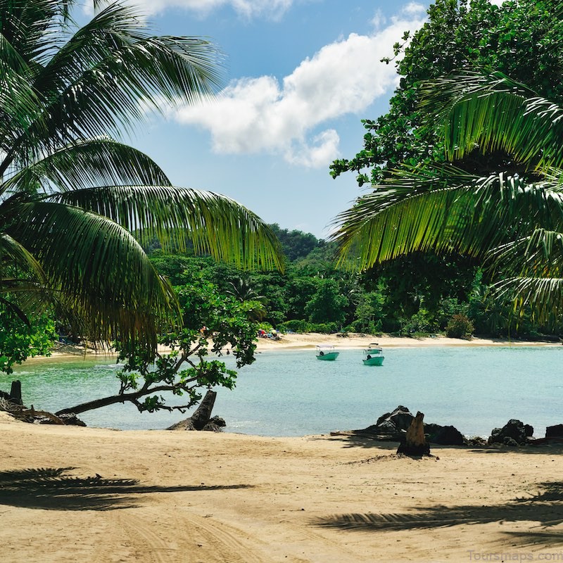 samana a travel guide to puerto ricos pacific coast 11 Samaná: A Travel Guide To Puerto Ricos Pacific Coast