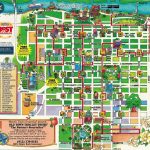 savannah travel guide for the casual visitor