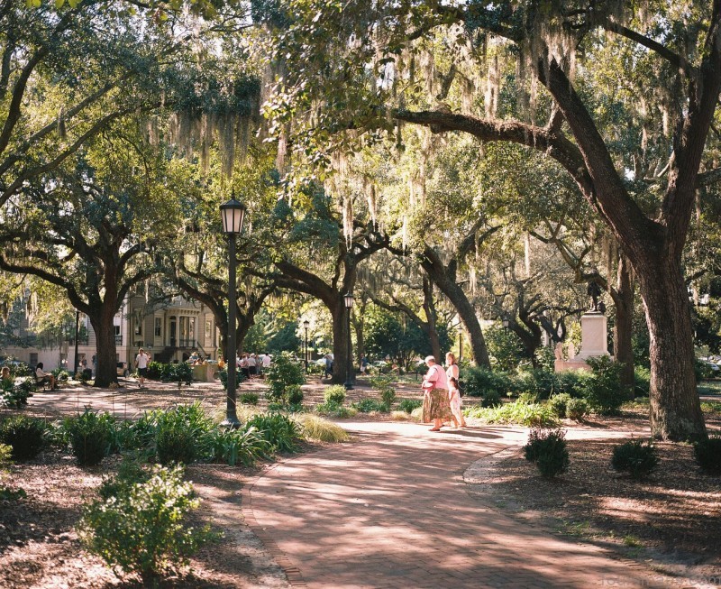 savannah travel guide for the casual visitor 7