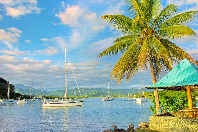 savusavu travel guide for tourist map of savusavu fiji 11