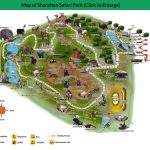 shenzhen explore the amazing chinese city 6