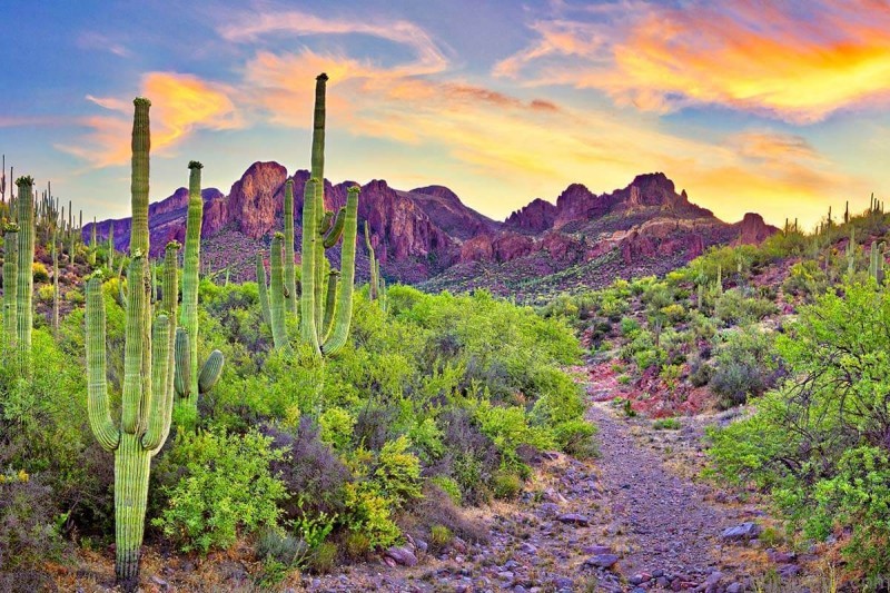 the scottsdale travel guide for everyone 10