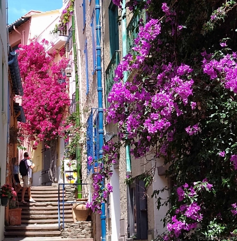map of collioure travel guide for tourist the best tips and hints for visiting 12