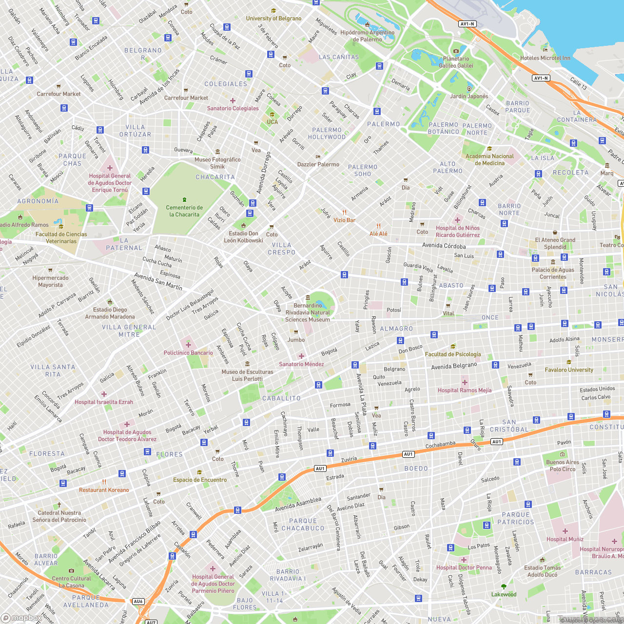 Buenos Aires Streets Map