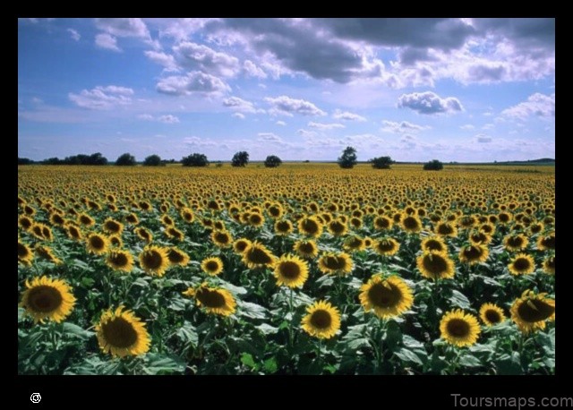 Map of Sunflower United States